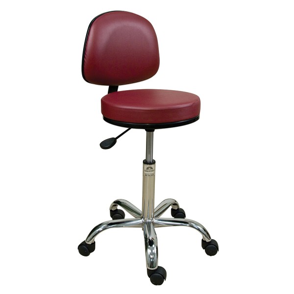 Professional Stool with Backrest-Low Height Range